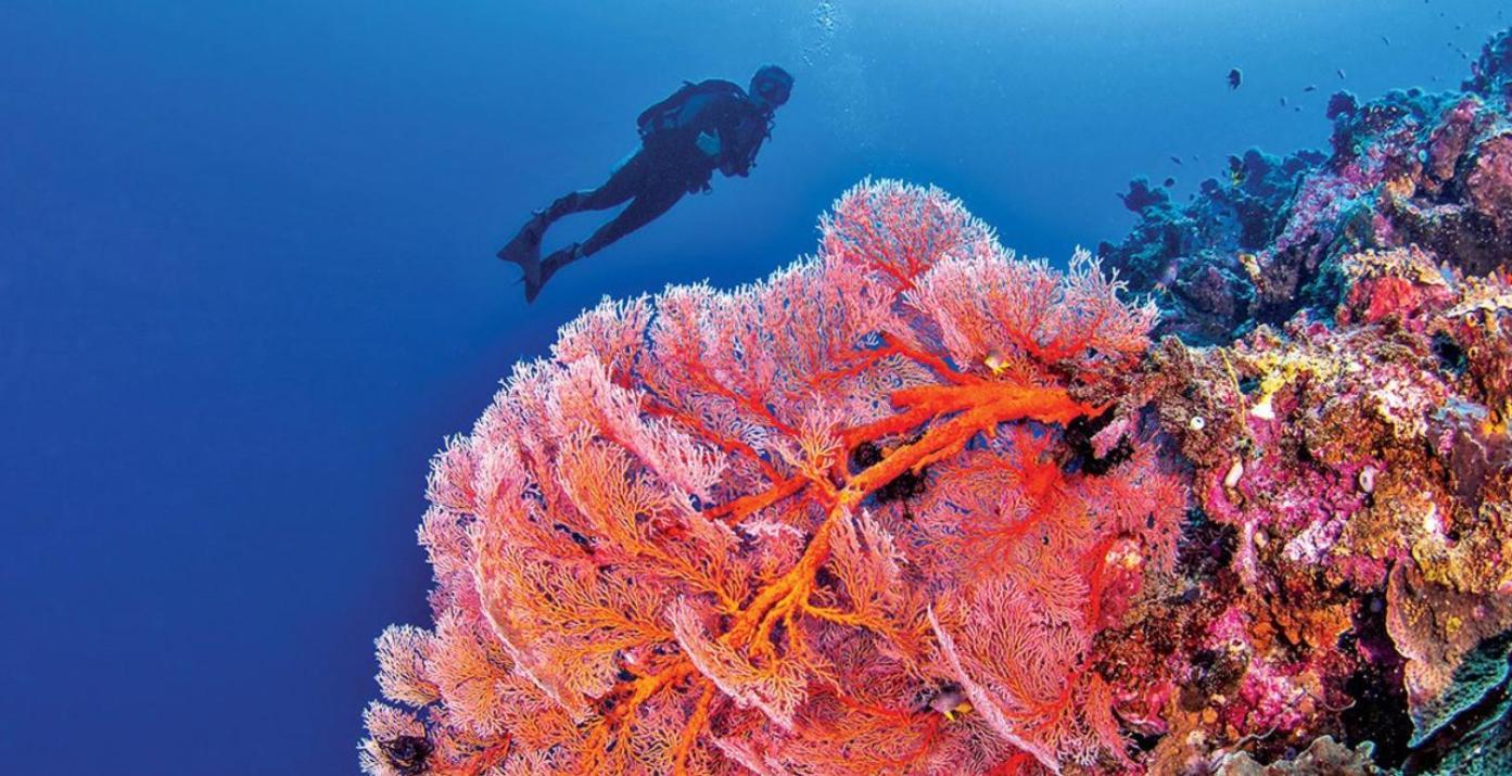 Pristine Paradise Dive Resort - Togean Islands, Una Una Pulau Unauna 外观 照片